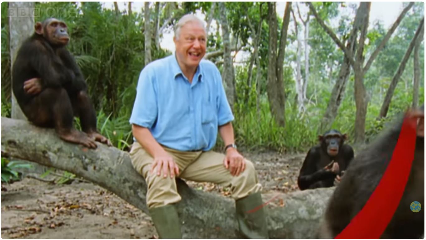 David Attenborough