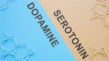 Dopamine Seratonin