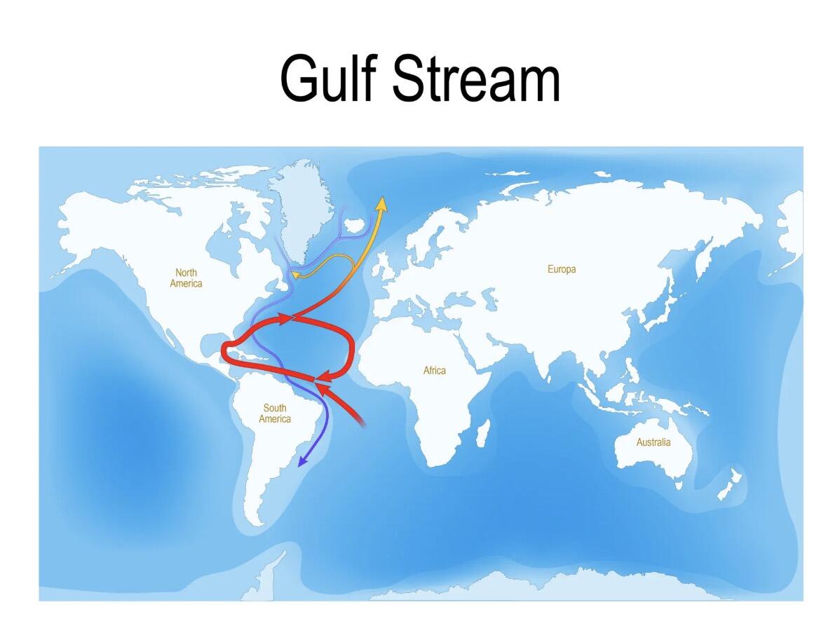 Gulf Stream