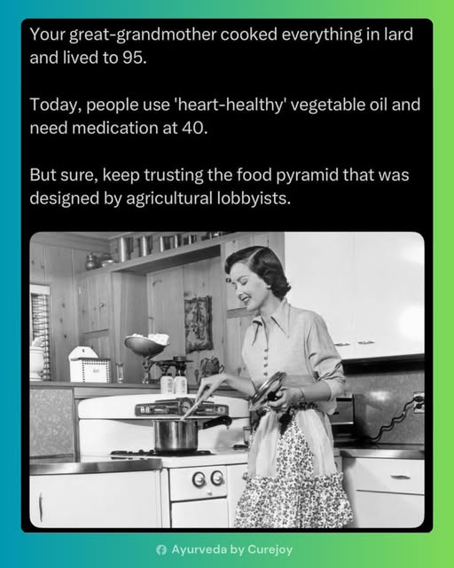 Lard vs Veg and Seed Oils