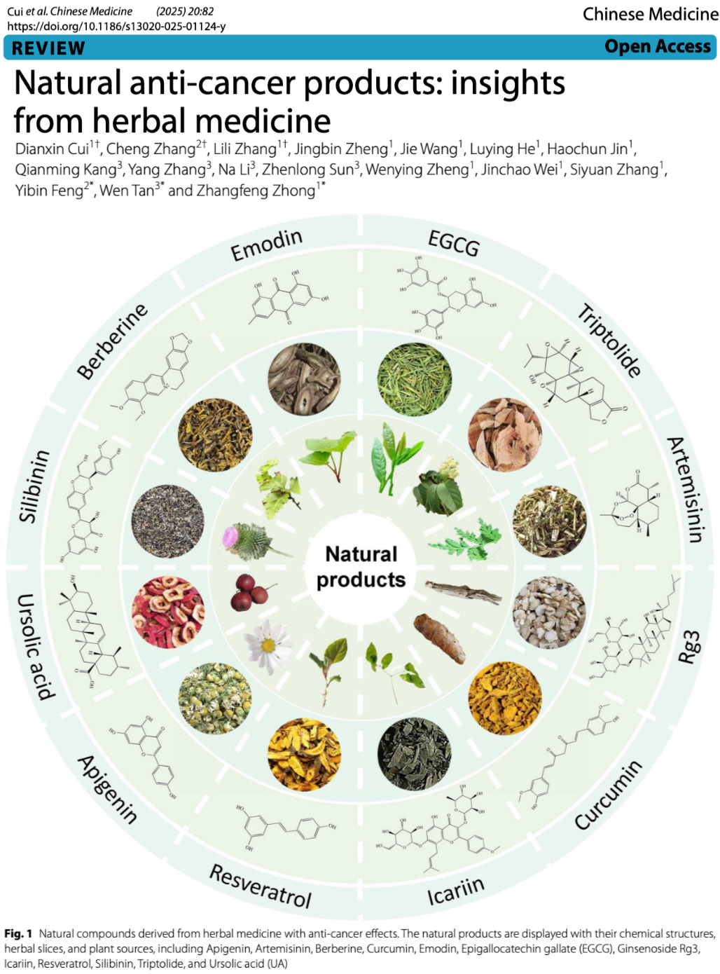 Natural Anti-Cancer Agents