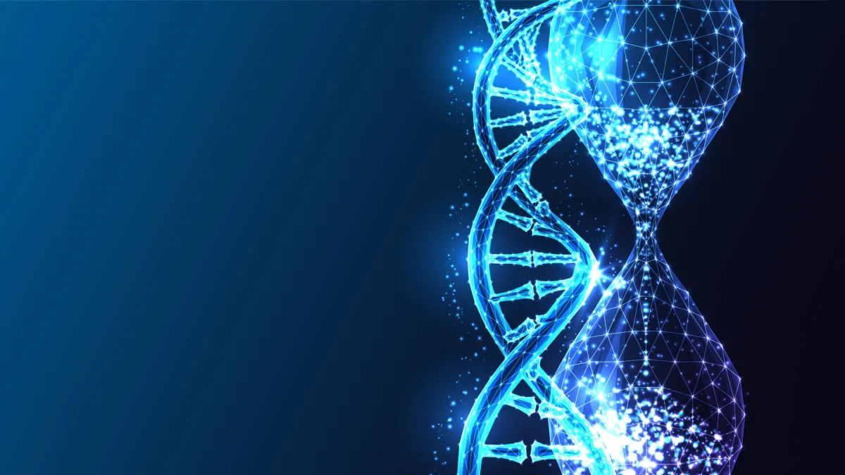 Genetics Longevity DNA Hourglass