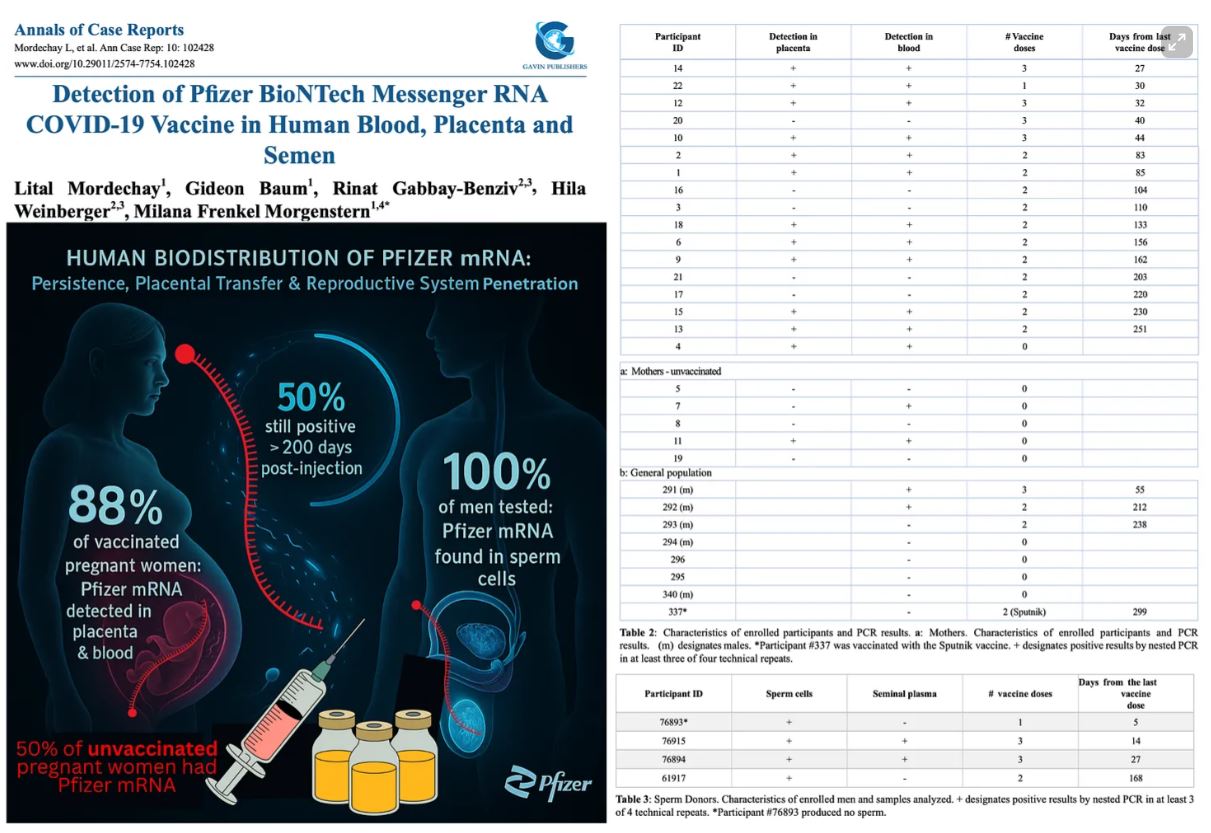 Pfizer BioNTech Messenger RNA Distribution