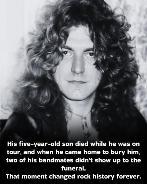 Robert Plant