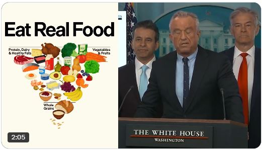 RFK Jr Food Pyramid