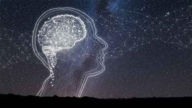 why some minds stay awake