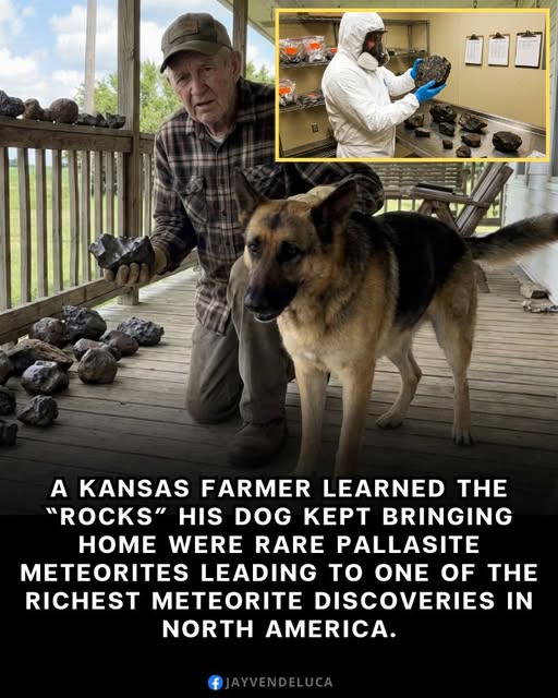 Dale and Max and Those Rocks