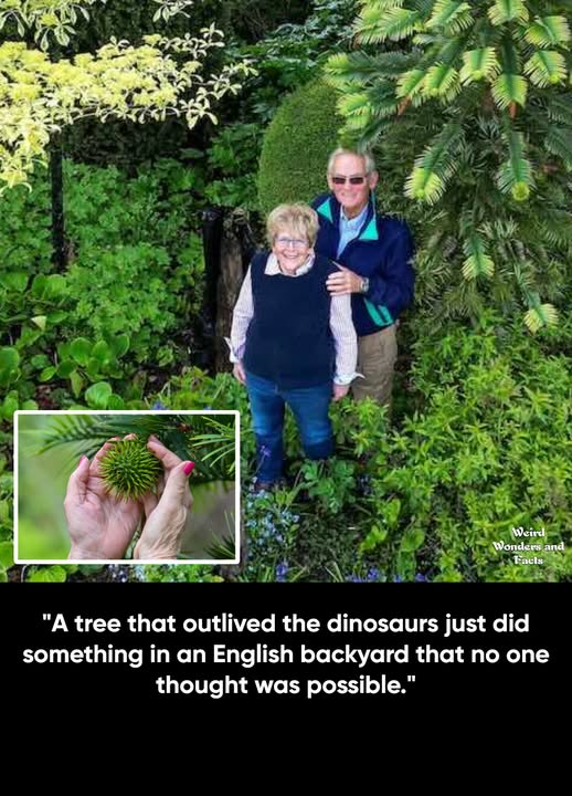 Pamela and Alistair Thompson