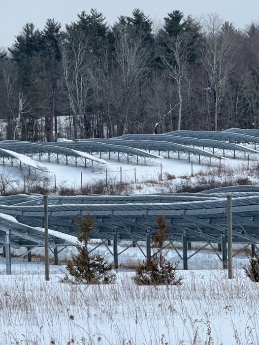 Solar Panels On Farmland