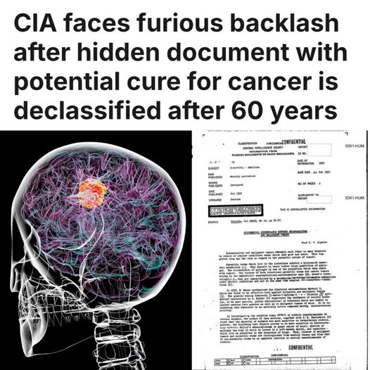 CIA Coverup
