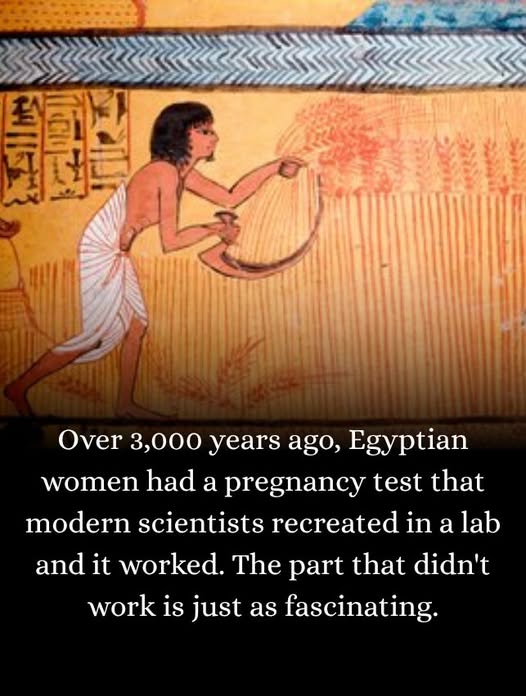 Ancient Egyptian Pregnancy Test
