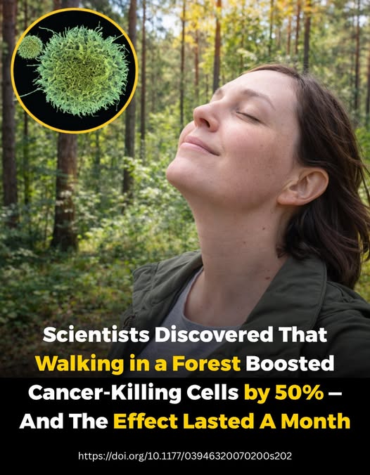 Forest Bathing Helps Kill Cancer