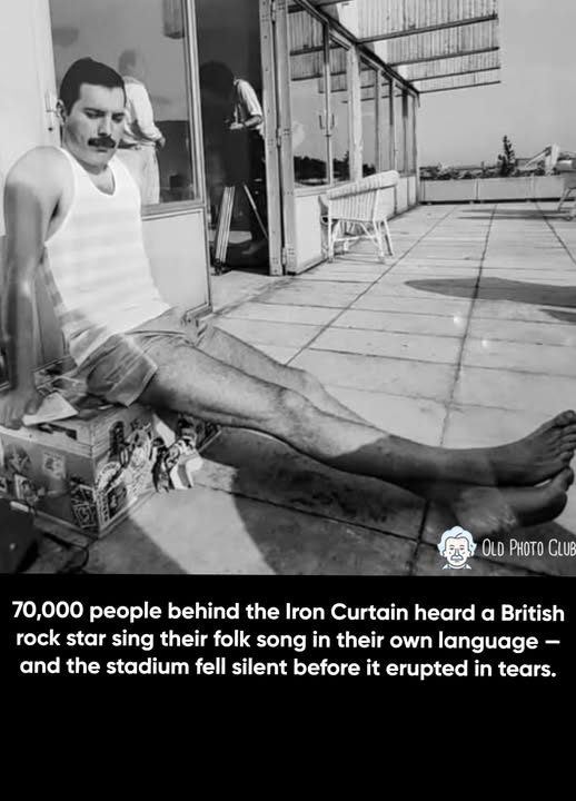 Freddie Mercury Relaxing