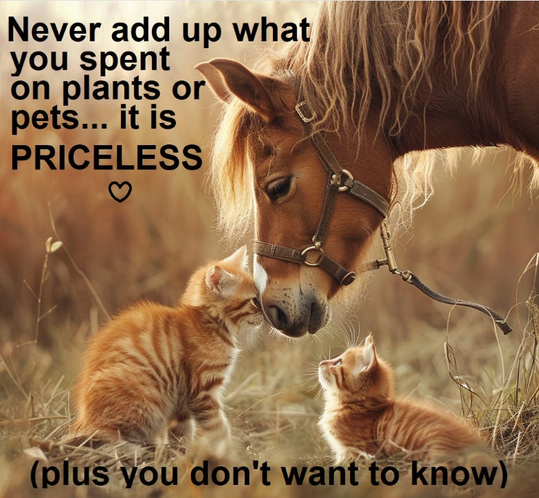 Never Add Up What You Spend On Pets or Plants