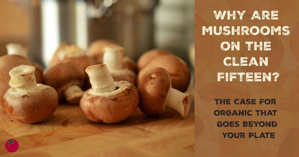 The Case For Organic Mushrooms