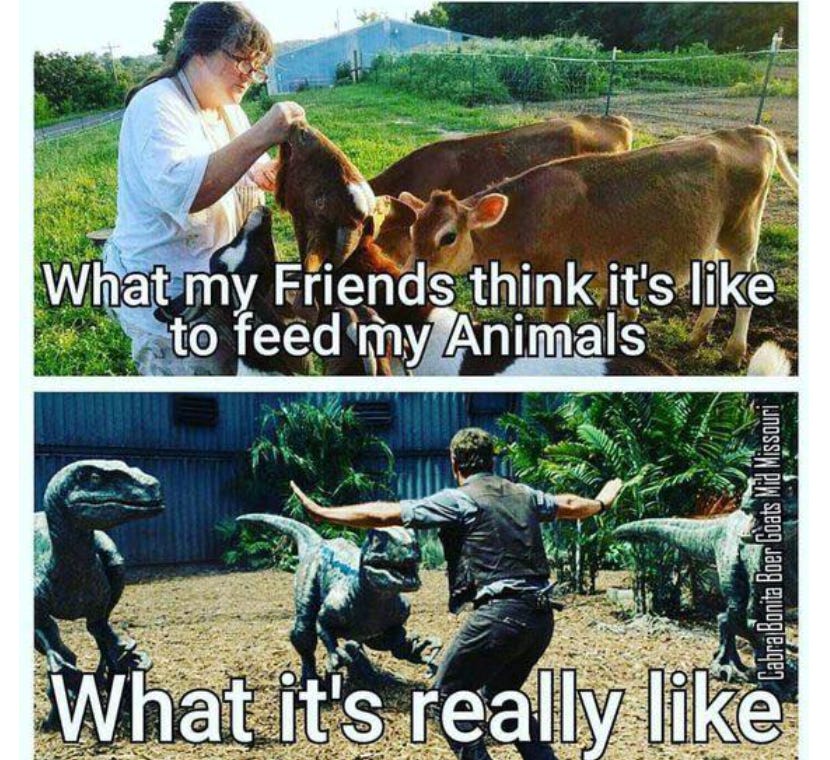 What My Friend Thinks vs Reality