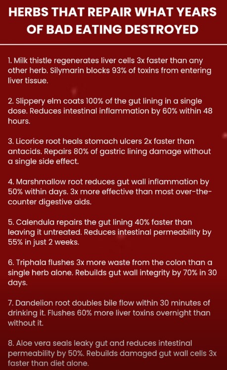 Gut Repair Herbs