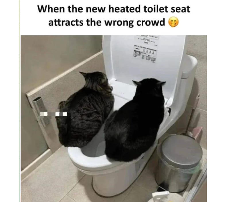 Heated Toilet Seat Liability