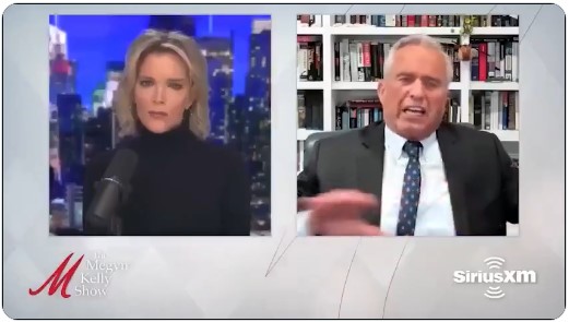 RFK Jr Interviewed On Autism