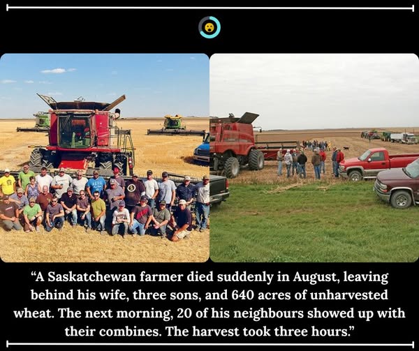 Saskatchewan, 20 Neighbours - 3 Hours