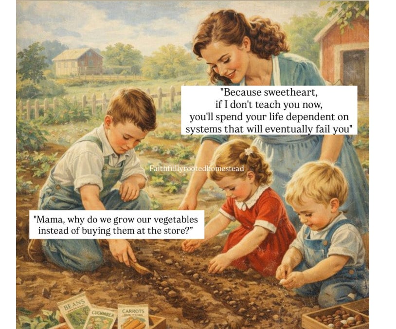 Why Do We Grow Our Own Vegetables?