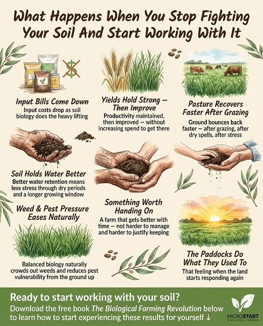 Work With Your Soil