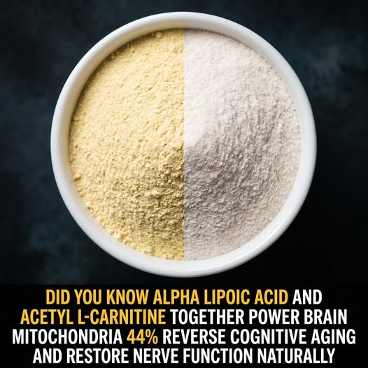 Alpha Lipoic Acid and Acetyl L-Carnitine