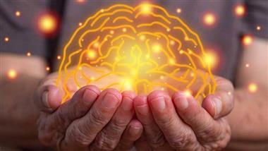Biological Age Brain Protection
