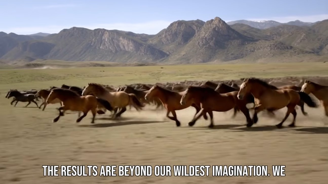 Nevada Mustang Project