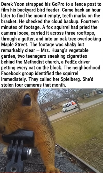 Spielberg The Squirrel