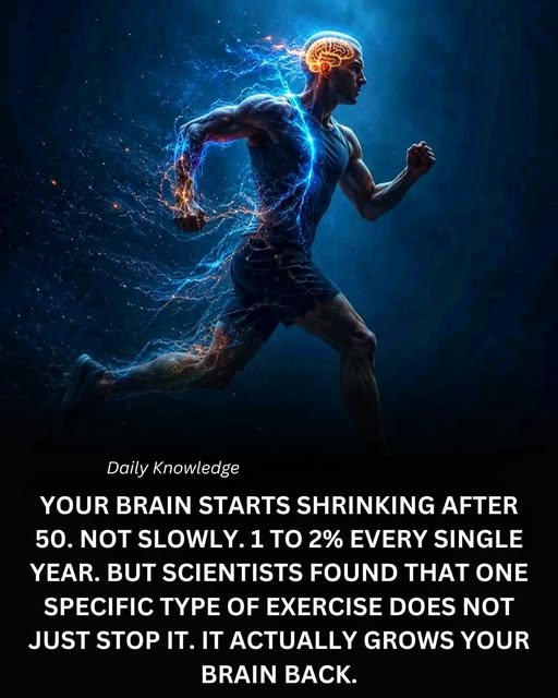 Brain Shrinkage