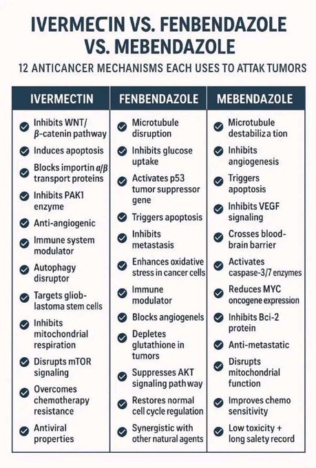 Ivermectin vs. Fenbendazole vs. Mebendazole