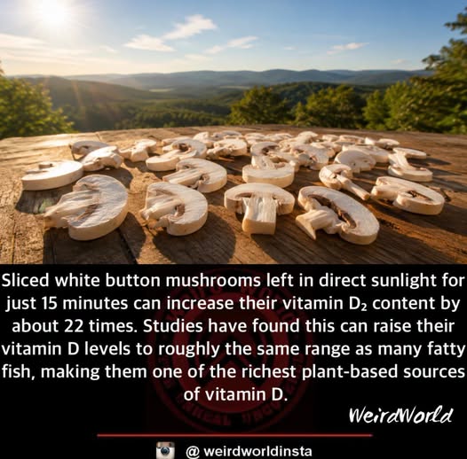 Mushrooms Make Vitamin D