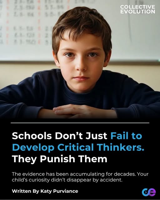 Schools Punish Critical Thinkers