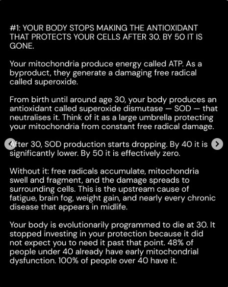 Spirulina1