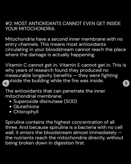 Spirulina2