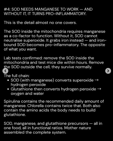 Spirulina4