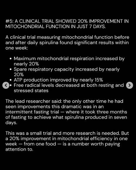 Spirulina5