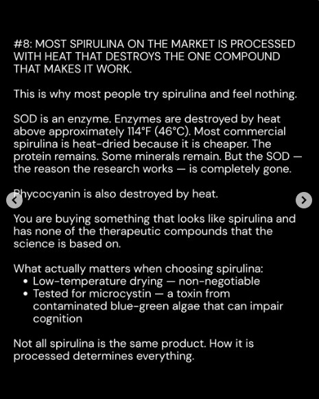 Spirulina8