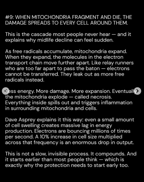Spirulina9