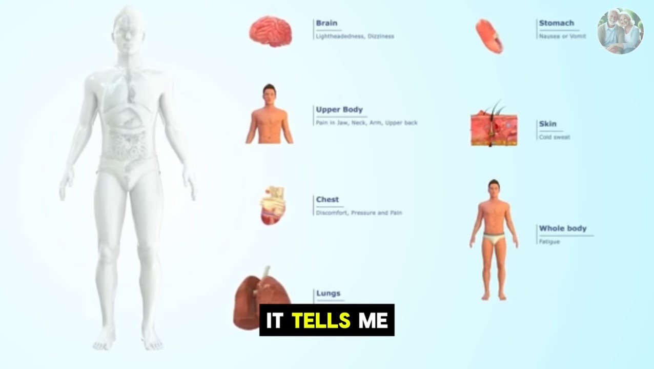 Body Indicators