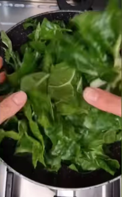 Spinach