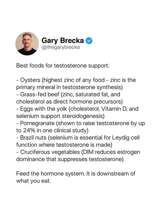 Gary Brecka On Testosterone