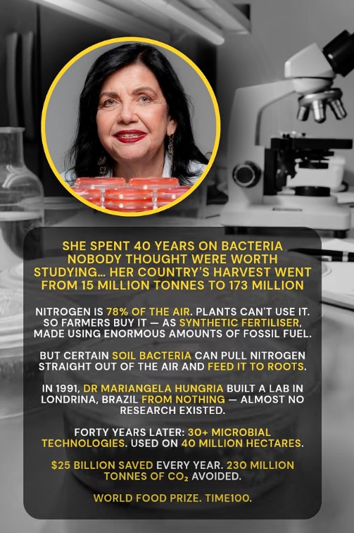 Mariangela Hungria