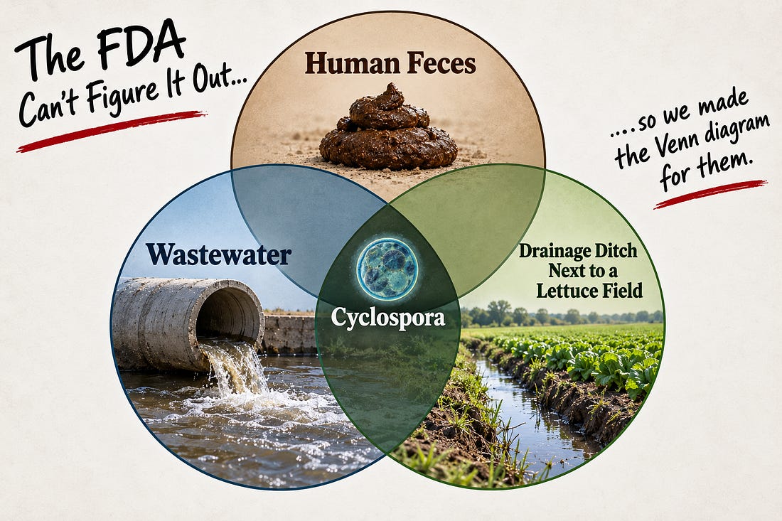 Cyclospora Venn Diagram
