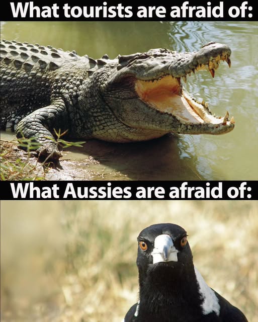 Of What We Are Afraid