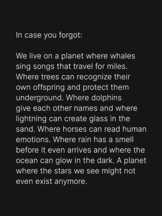 Our Planet