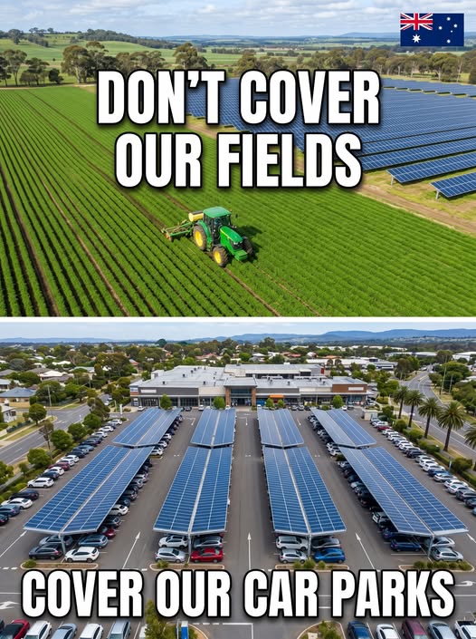 Solar Panel Placement