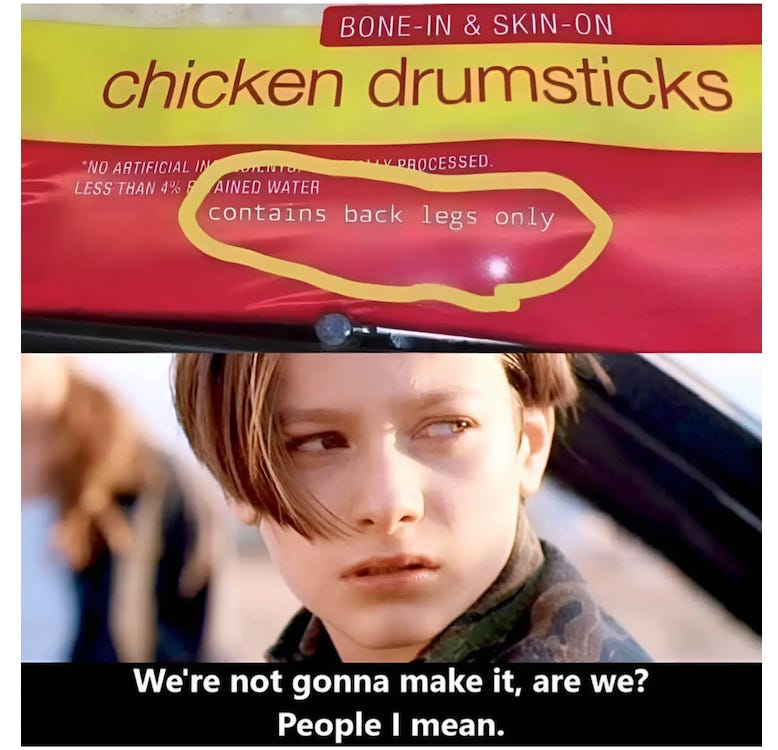 We Are Not Going To Make It, Are We?