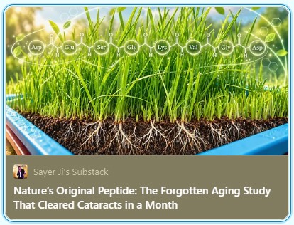 Wheat Grass and Cataracts